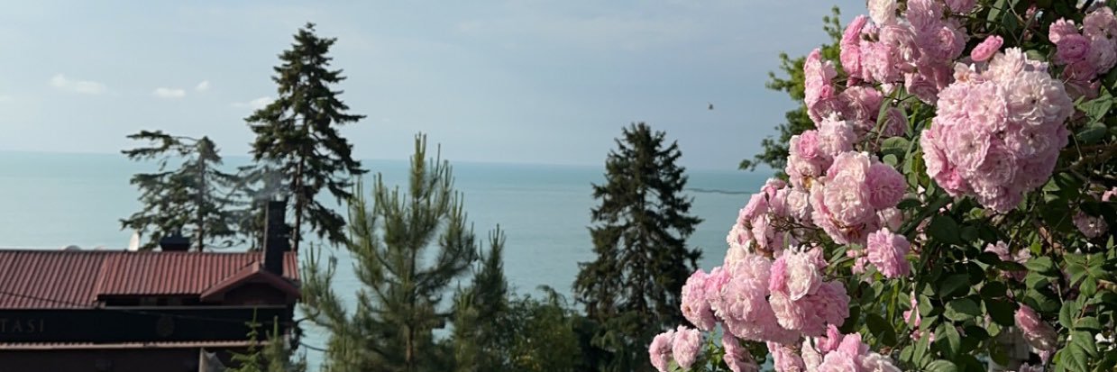 Meaadsz's profile banner image