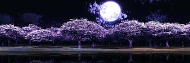 kdmjdwp1's profile banner image