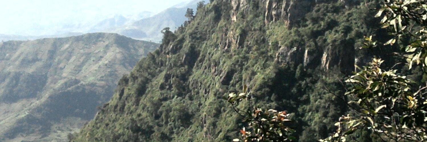tomchelimo's profile banner image