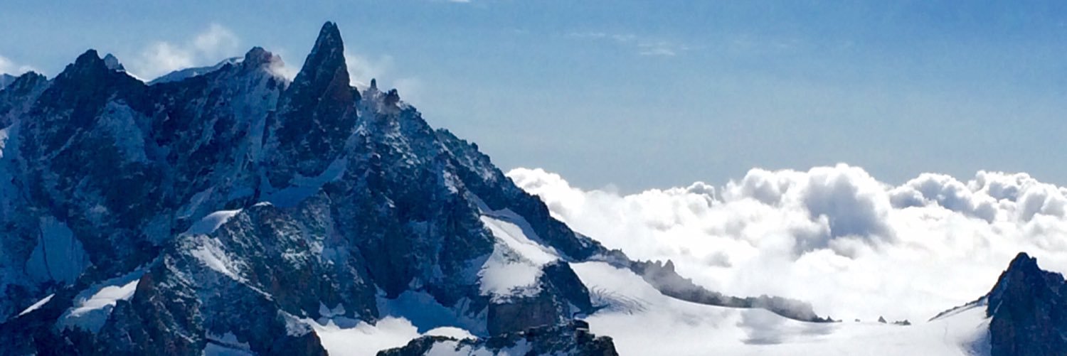 Fernanda Maciel banner