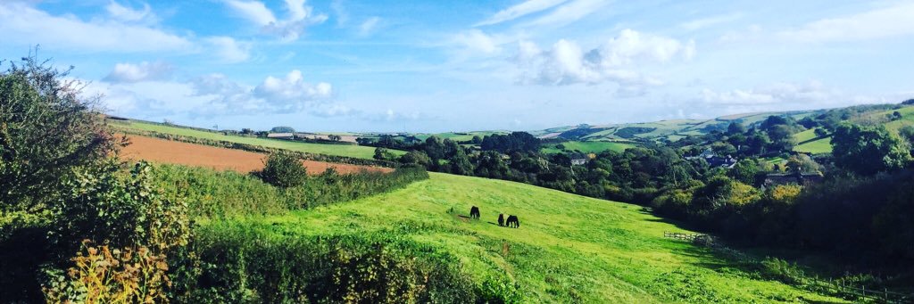 SalcombeStud's profile banner image