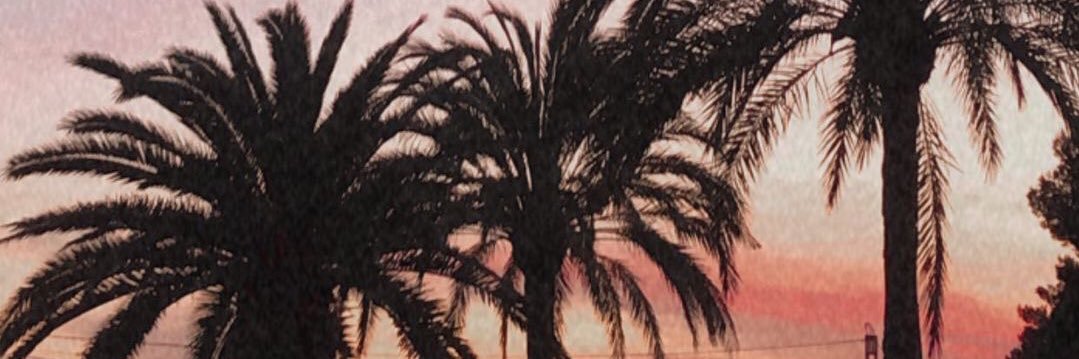 annswim011's profile banner image