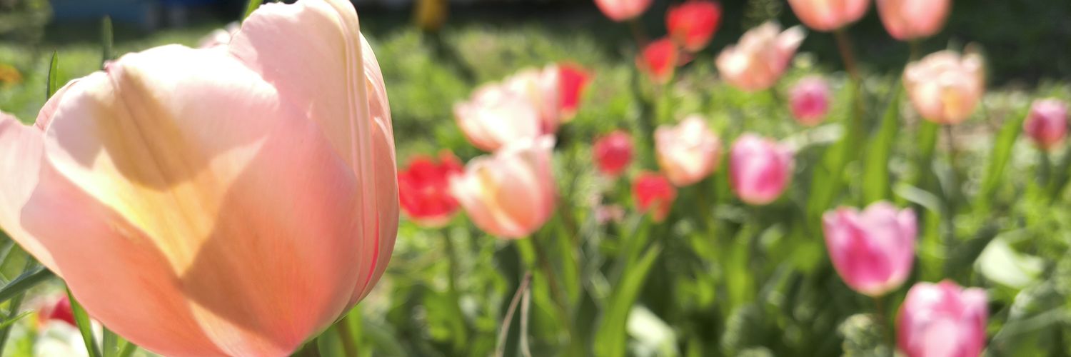 いぬの banner