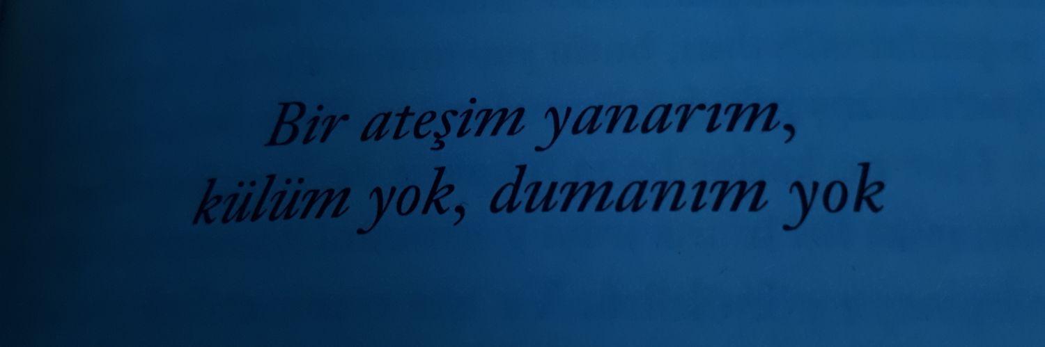 karanfilth's profile banner image