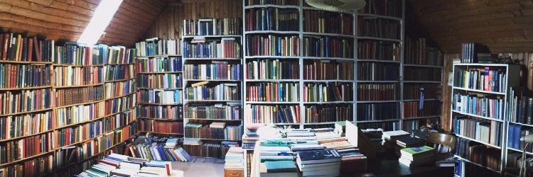 Dr Isobel C MacDonald banner