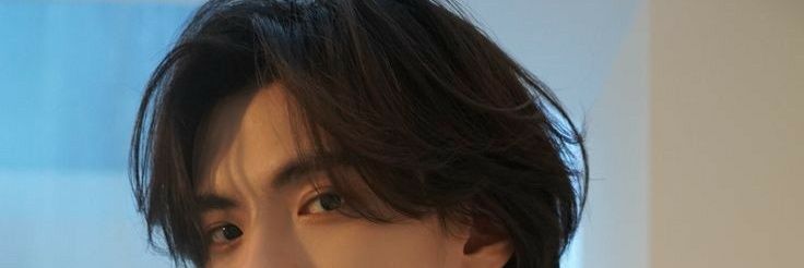 Katzenliebh's profile banner image