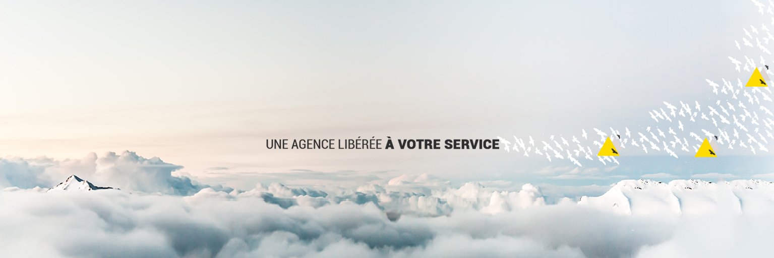 CIBASTRATEGIE banner