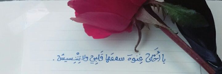 walidmostafa95's profile banner image