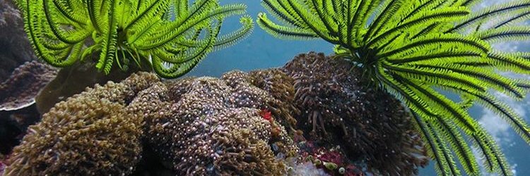 allfiveoceans's profile banner image