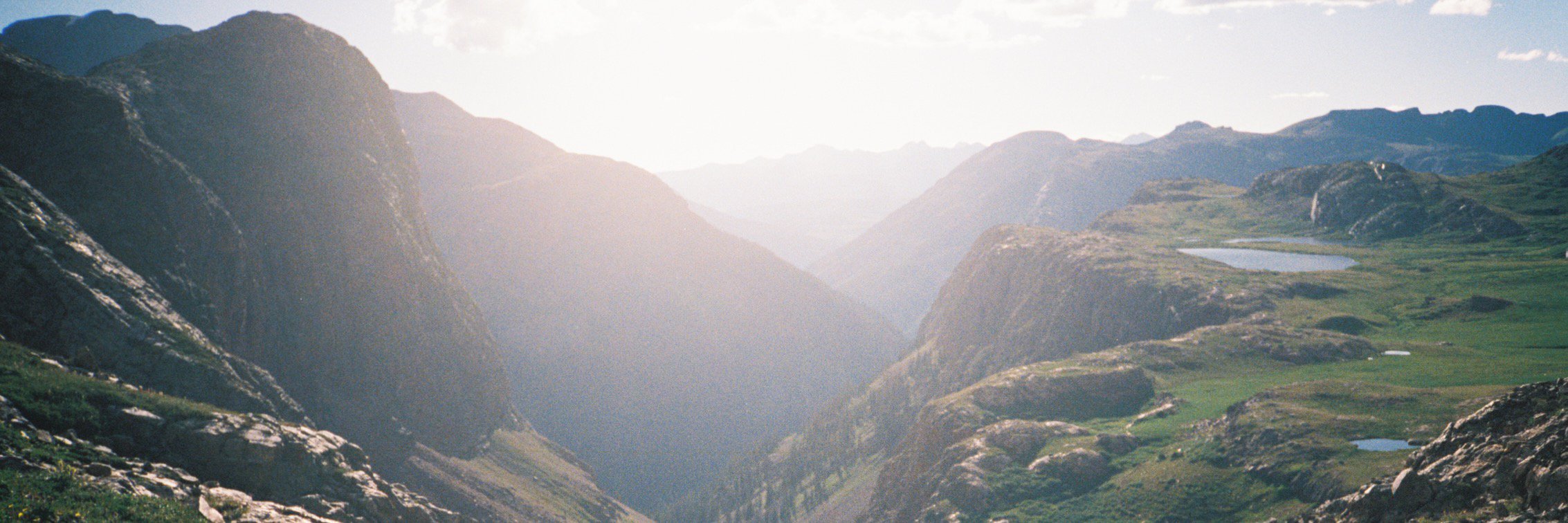 Ari Armstrong banner