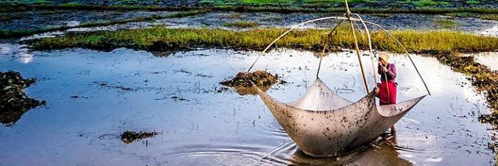 chi_gbo_'s profile banner image