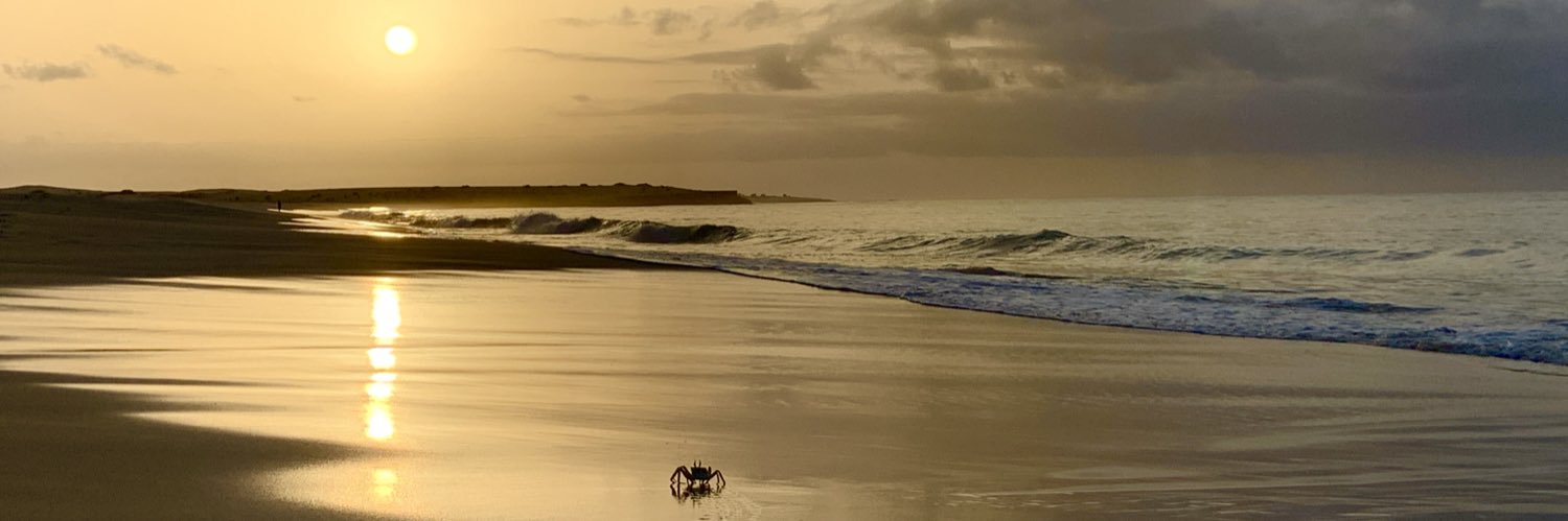 Daniel French banner