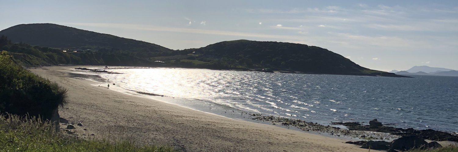 Niamh Fagan Holmes banner