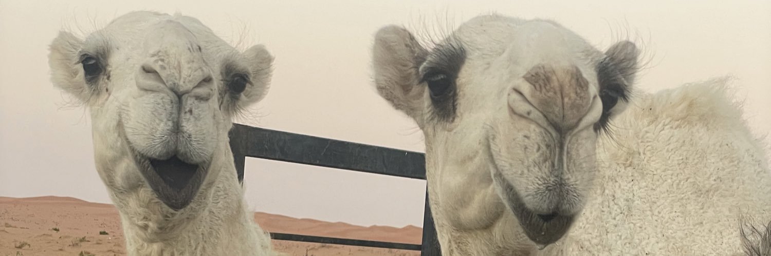 F_aldiwe's profile banner image