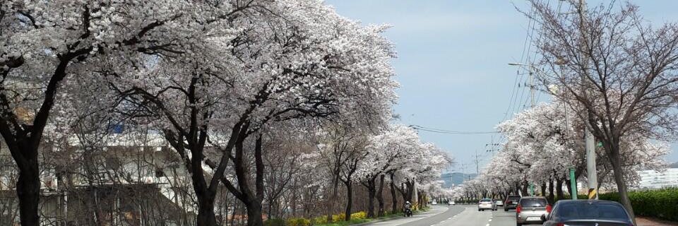 Psk97000's profile banner image