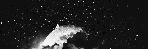 Bianca Florea banner