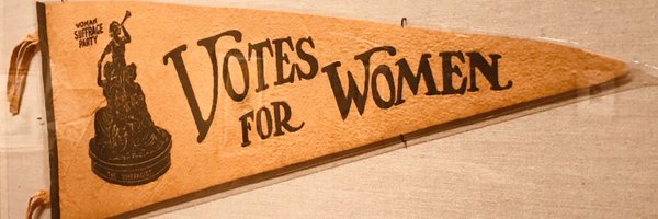 JoyFoxRI Profile Banner