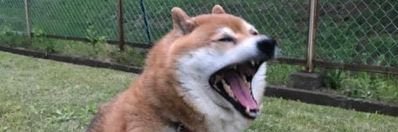 gorobestbro's profile banner image