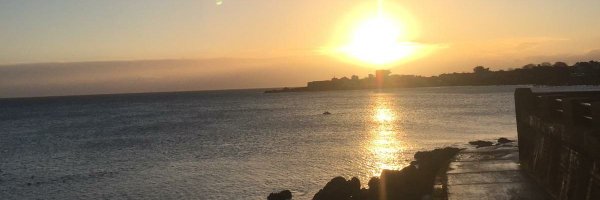 vivwoj Profile Banner