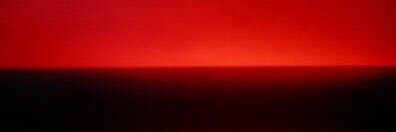 fiorenza lipparini banner