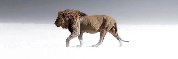 11Hammer11 Profile Banner