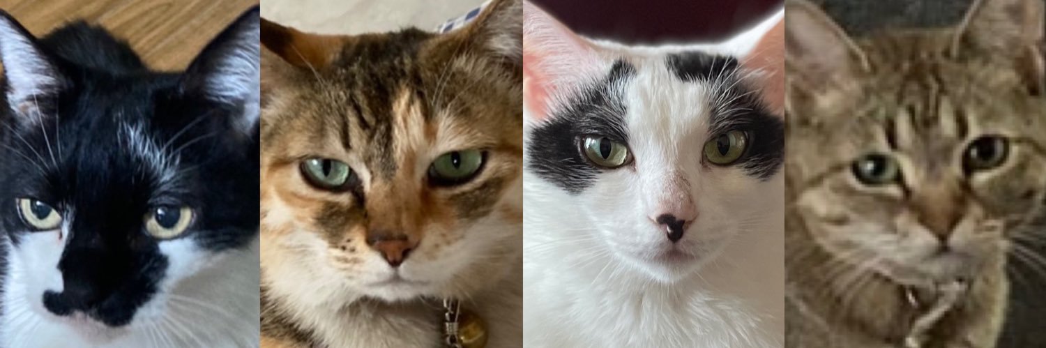 江西@エッセイ連載中 banner