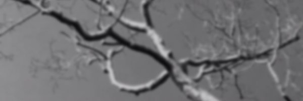 ryanbo87X Profile Banner