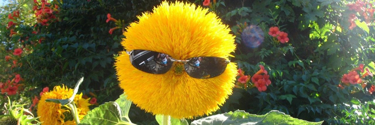 Flywithdeath's profile banner image