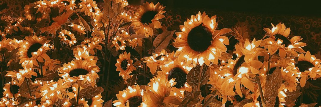 Maylhe ✨ banner