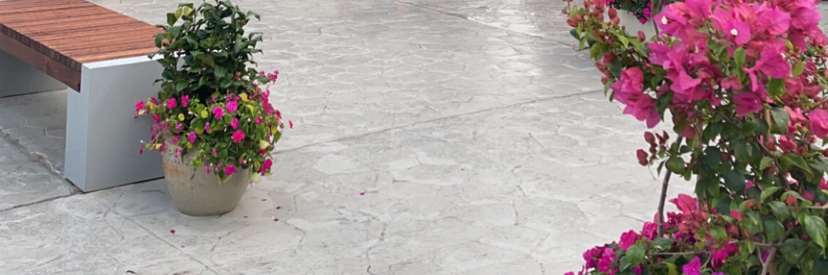 rohalmasa's profile banner image