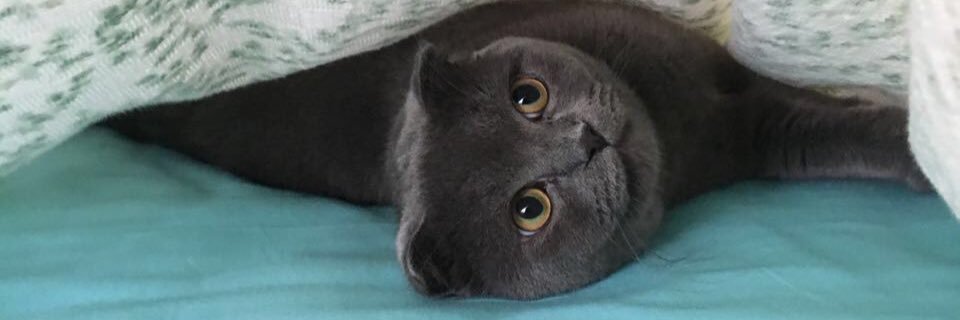 hakansync's profile banner image