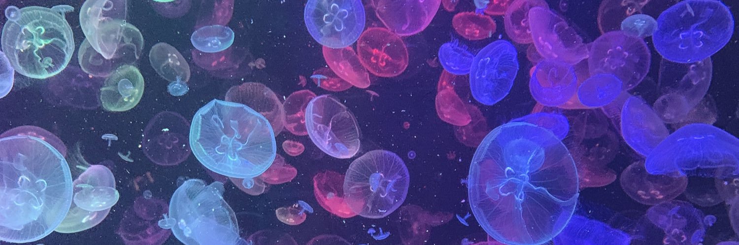 exgb224's profile banner image