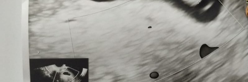 samueldefunes's profile banner image