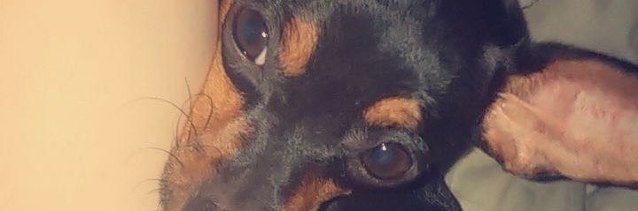 saft_maylen's profile banner image