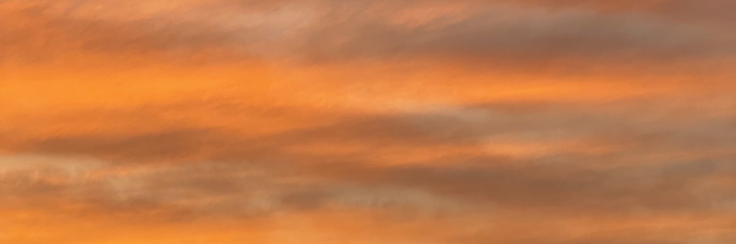 ritaxleal's profile banner image