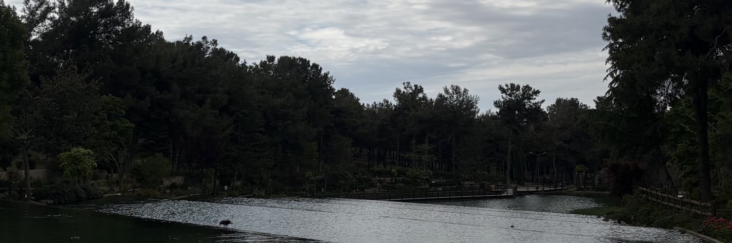 rabiyade's profile banner image