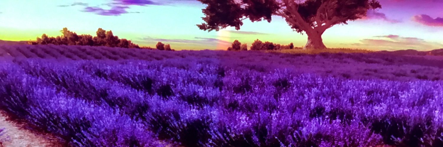 beee326__'s profile banner image