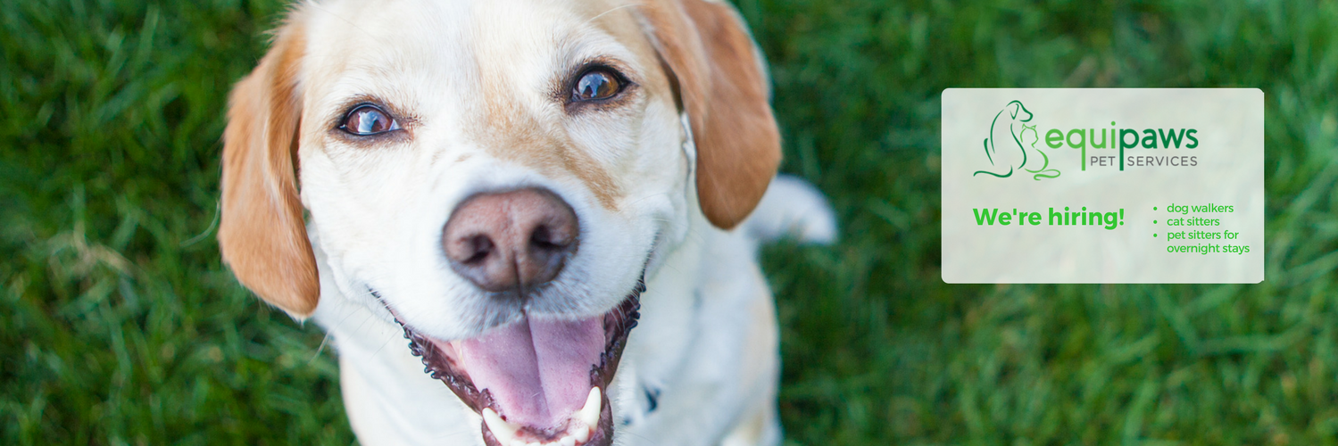 EquipawsPets's profile banner image
