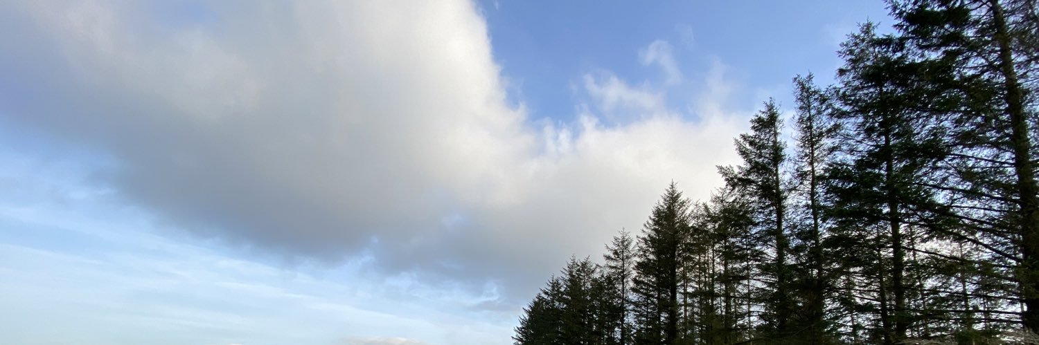 PjCatrin's profile banner image