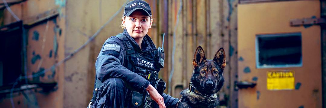 HantsTVPolDogs's profile banner image