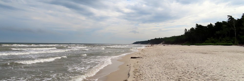 Tadeusz Aziewicz banner