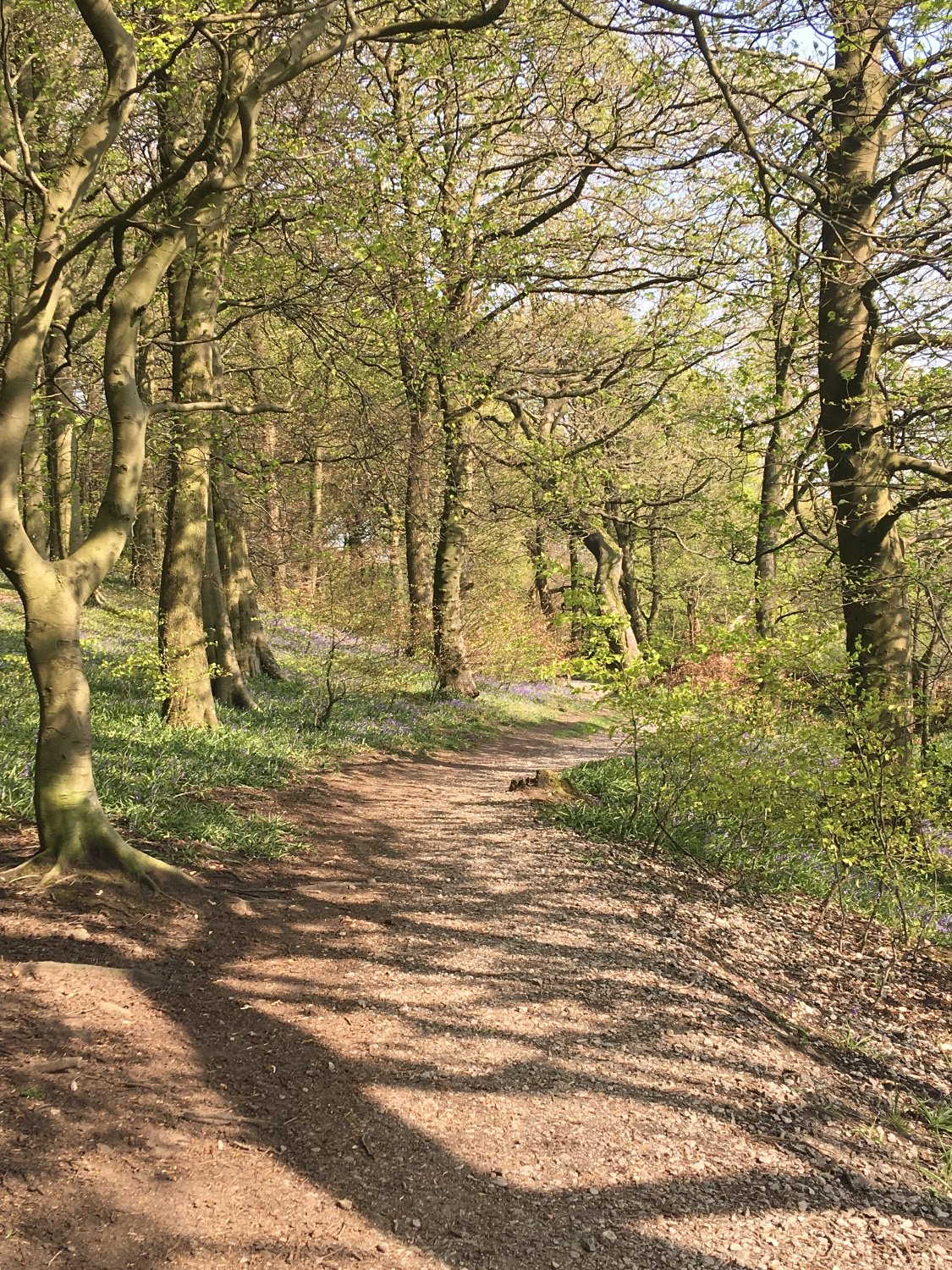 Emma Manchester banner