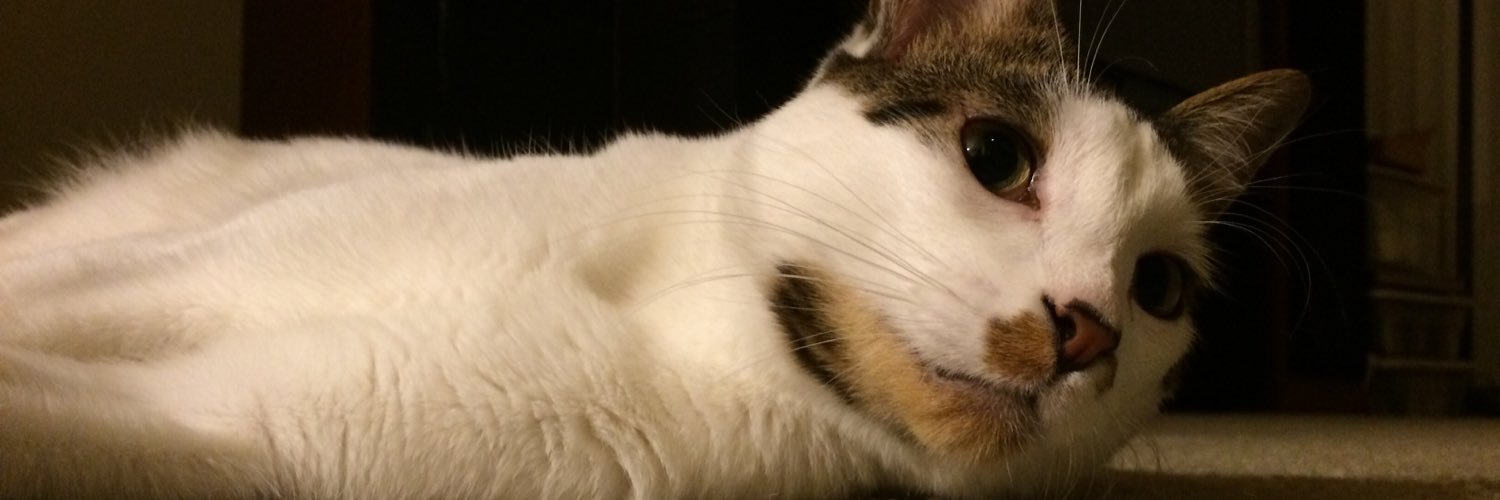 CMGros's profile banner image