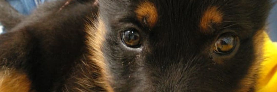 KeyssiGomez's profile banner image