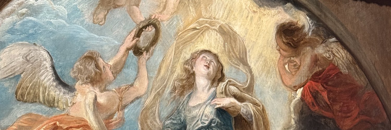 VetelinoX🇳🇴 banner