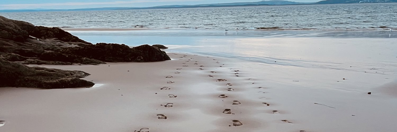 SarahDavid__'s profile banner image