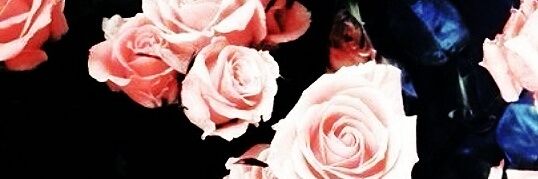 _julia_cosmos_'s profile banner image