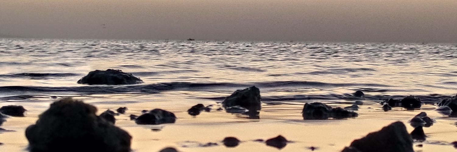 loayloca's profile banner image