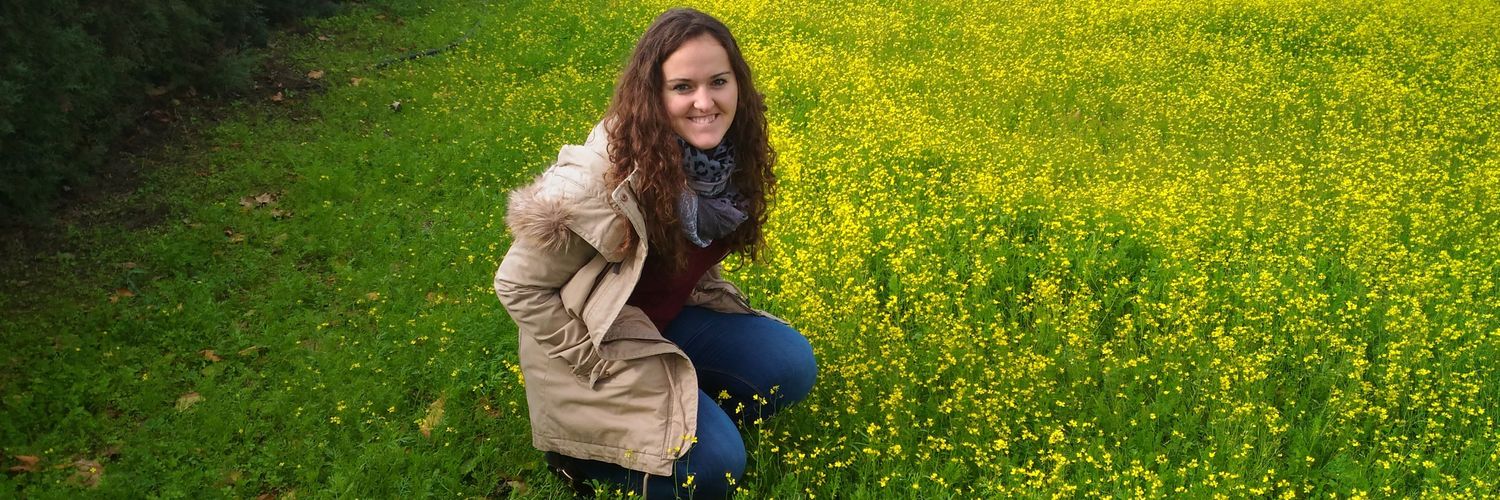 Emilvarez1's profile banner image