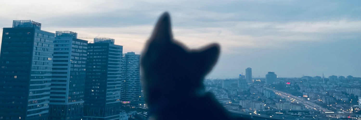 ay___za's profile banner image